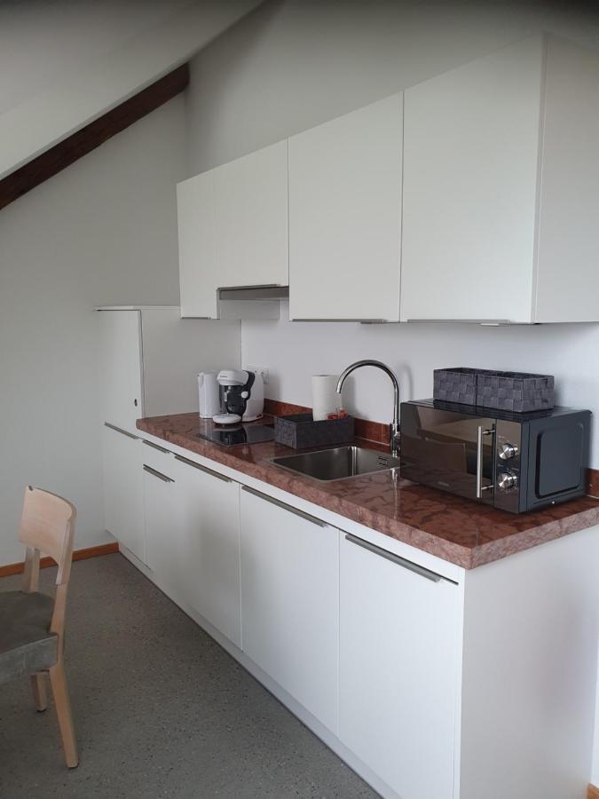 Appartement Gutshof Seenland à Seekirchen am Wallersee Extérieur photo